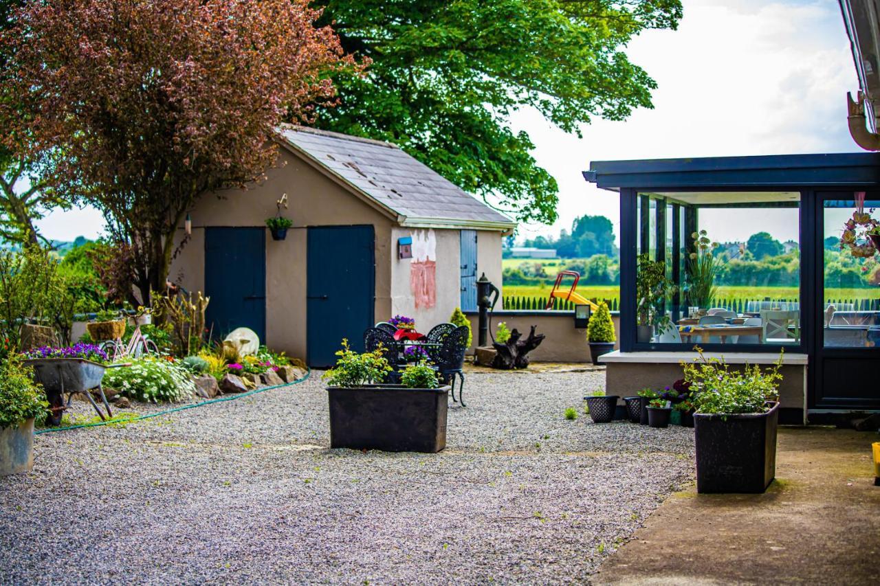 Bed and Breakfast The Ring Farmhouse Birr Exterior foto