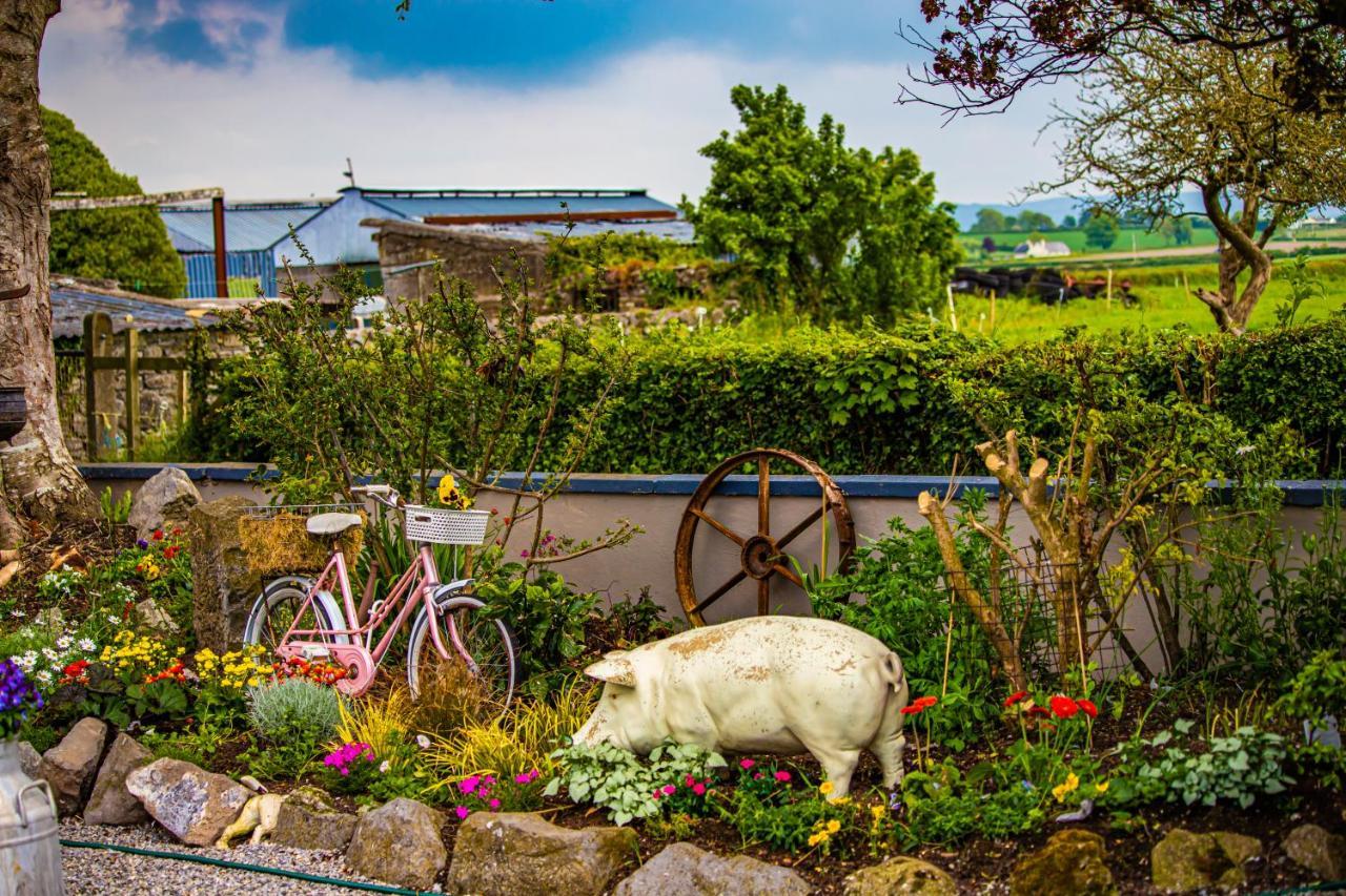 Bed and Breakfast The Ring Farmhouse Birr Exterior foto