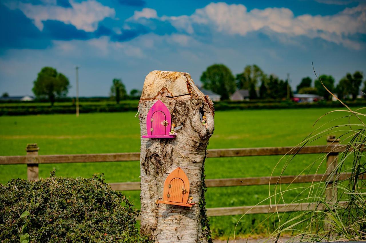 Bed and Breakfast The Ring Farmhouse Birr Exterior foto