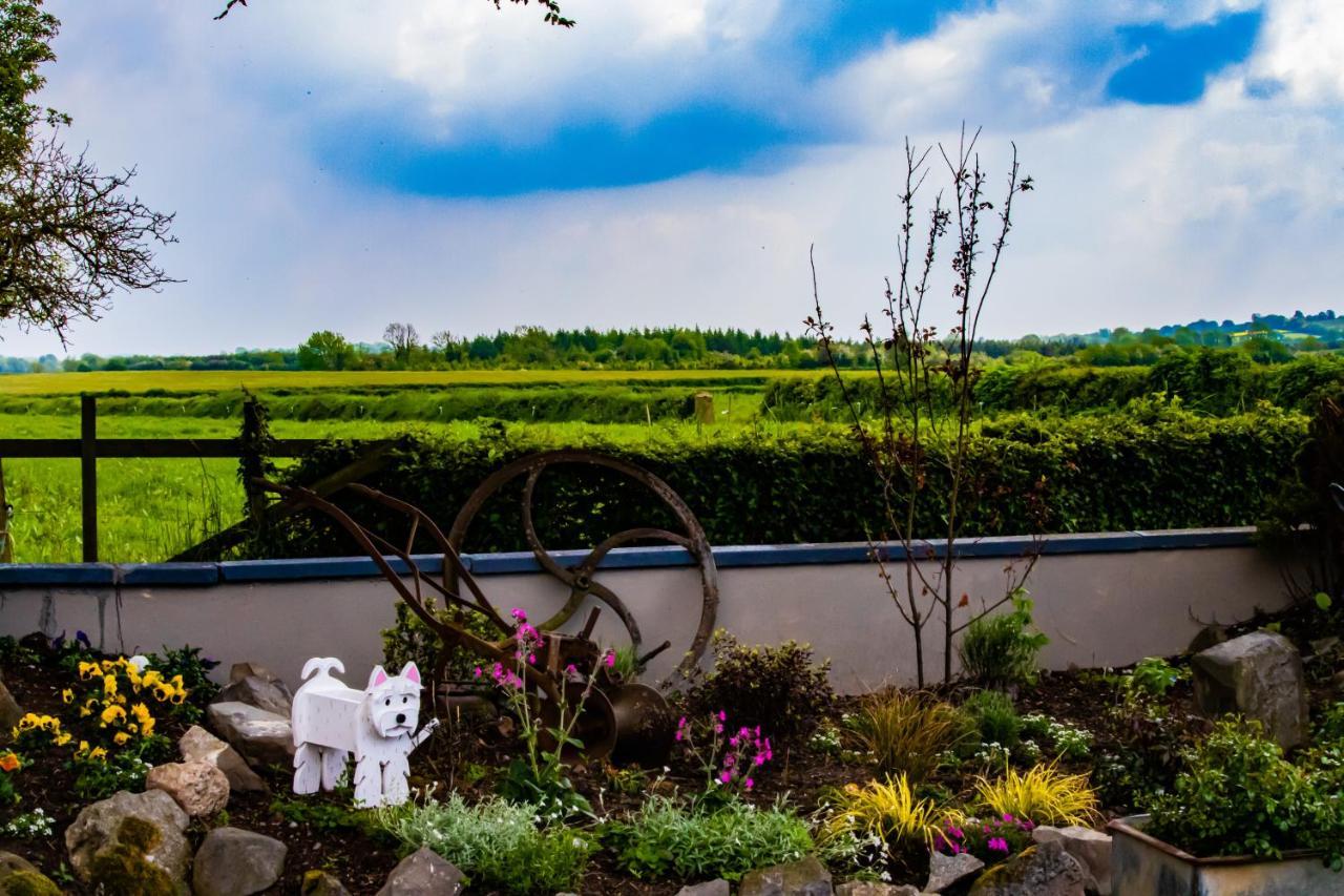 Bed and Breakfast The Ring Farmhouse Birr Exterior foto