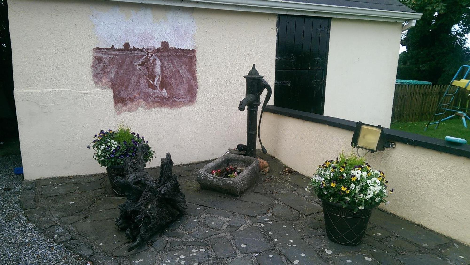 Bed and Breakfast The Ring Farmhouse Birr Exterior foto