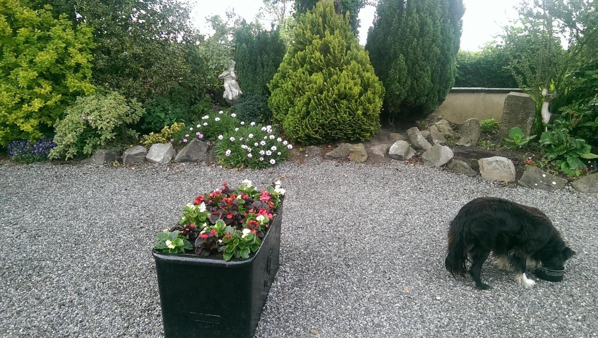 The Ring Farmhouse Birr Exterior foto