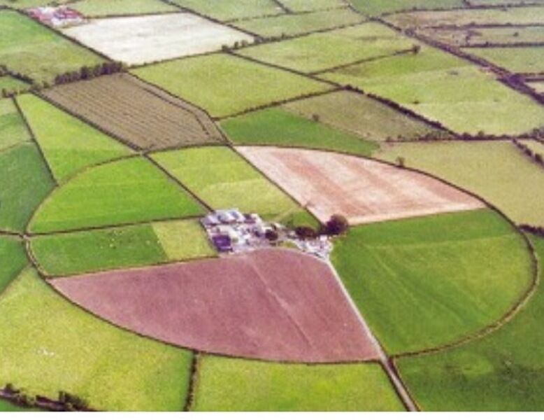 Bed and Breakfast The Ring Farmhouse Birr Exterior foto